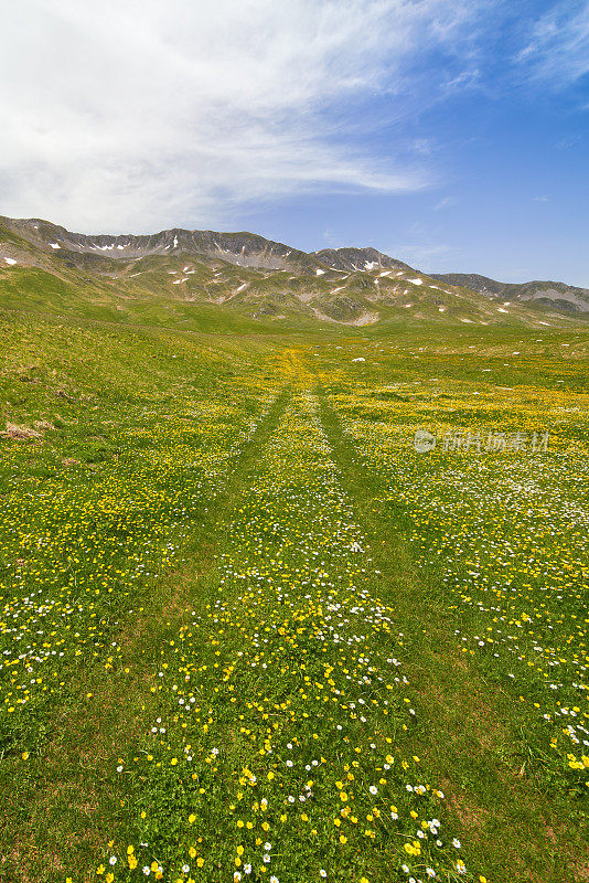 Campo Imperatore草原与乡村道路车辙和草地，意大利Abruzzi